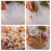 Top-down view of the Tidy Table sprout maker, showcasing the four individual sprouting sections.