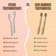 Eco friendly wooden toothbrush for sustainable oral care